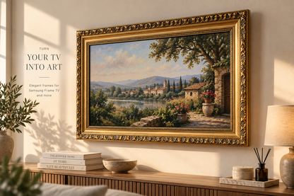 The Baroque Frame Vita