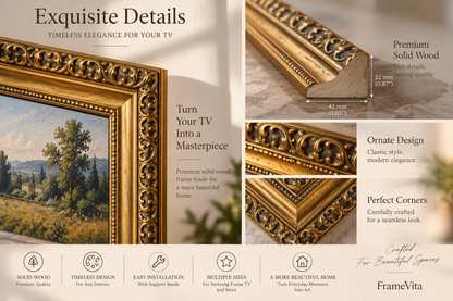 The Baroque Frame Vita